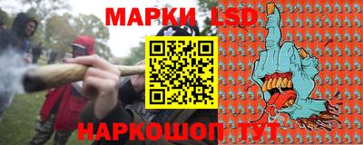 индика Усть-Илимск