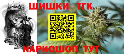 индика Усть-Илимск