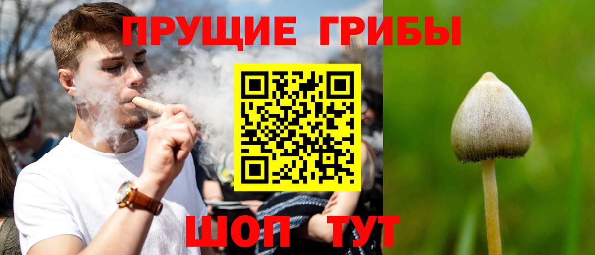 Галлюциногенные грибы Cubensis Анжеро-Судженск